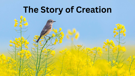 The Story of Creation